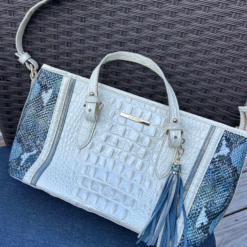 EUC with bag & registration card. Mini Asher daydream June bug Brahmin bag.